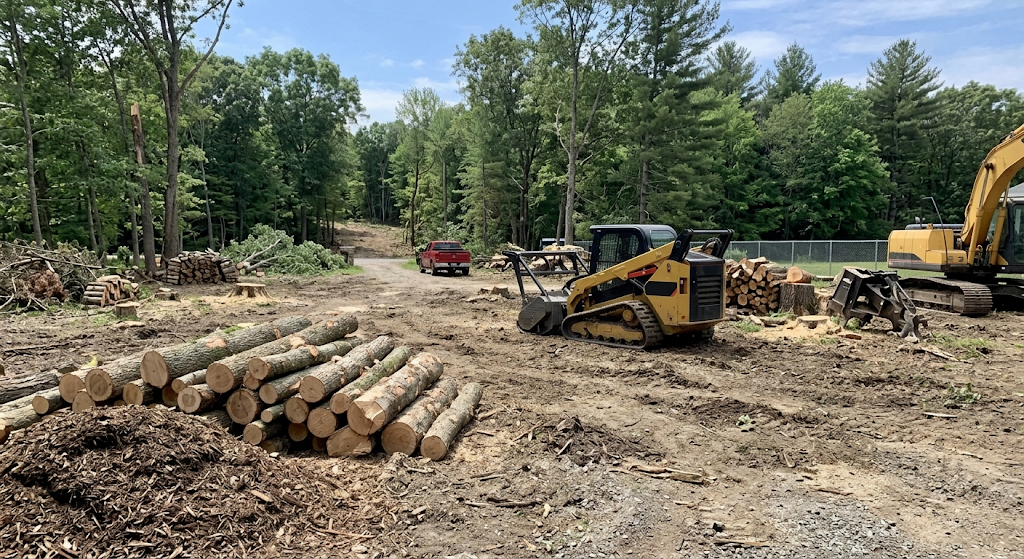 Multi-Tree & Lot Clearing